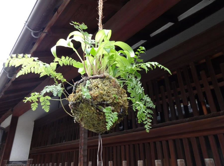 寺内町 涼音かざり