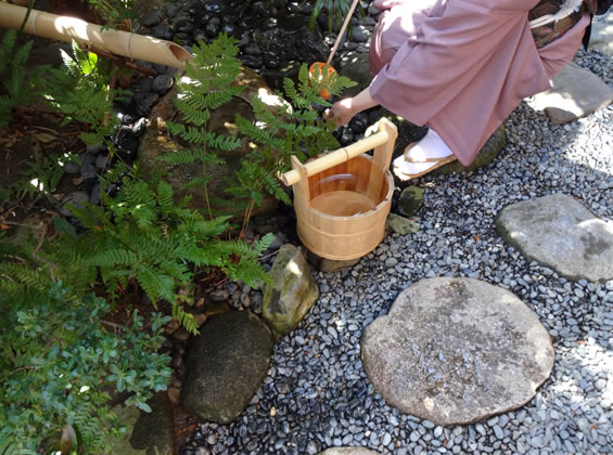 尼崎市塚口 真庵の思い出